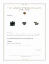 1.73 Ct. Sapphire from Australia Appraisal