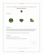 Jewelry Appraisal