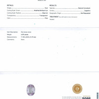 Jewelry Scan Report