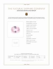 Jewelry Scan Report