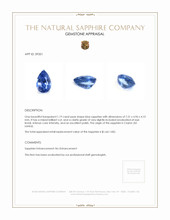 1.19 Ct. Blue Sapphire from Ceylon (Sri Lanka) Appraisal