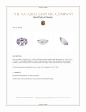 3.17 Ct. Purple Sapphire from Ceylon (Sri Lanka) Appraisal