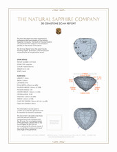 Jewelry 3 D Scan Report