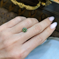 1.67 Ct. Yellowish Green Sapphire from Montana Life Style