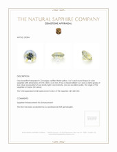 3.67 Ct. Bi Color Sapphire from Ceylon (Sri Lanka) Appraisal