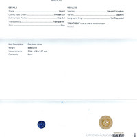 Jewelry Scan Report