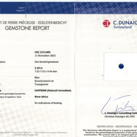 Jewelry Scan Report