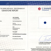 Jewelry Scan Report