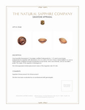 Jewelry Appraisal