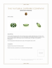 3.03 Ct. Yellowish Green Sapphire from Madagascar Appraisal