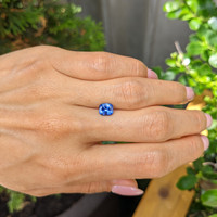 1.41 Ct. Blue Sapphire from Ceylon (Sri Lanka) Life Style
