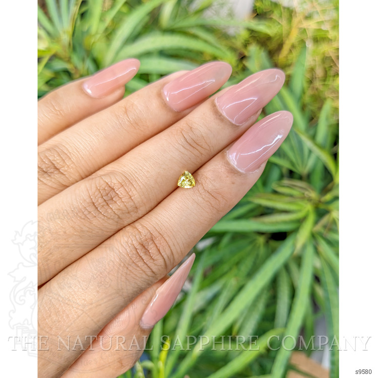 0.35 Ct. Yellow Sapphire from Ceylon (Sri Lanka)