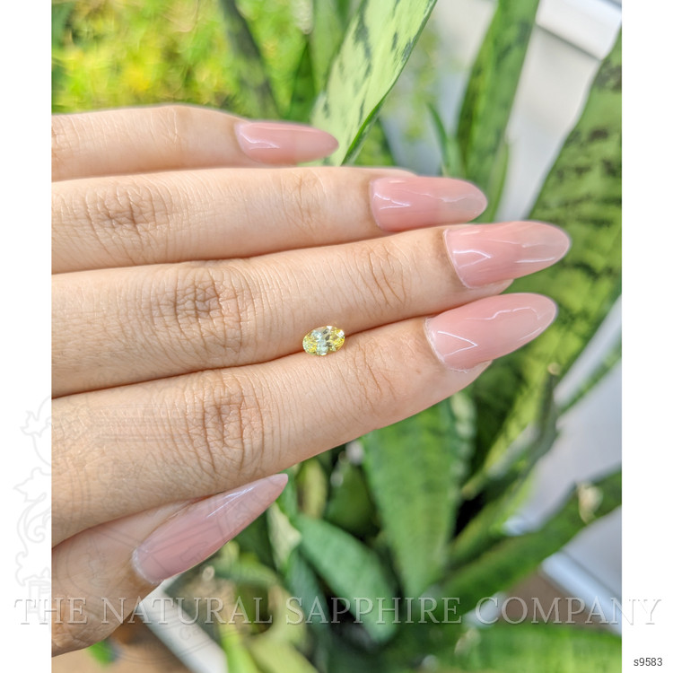 0.54 Ct. Yellow Sapphire from Ceylon (Sri Lanka)