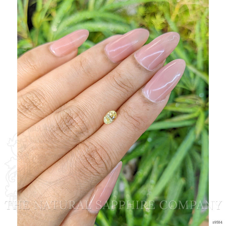 0.62 Ct. Yellow Sapphire from Ceylon (Sri Lanka)