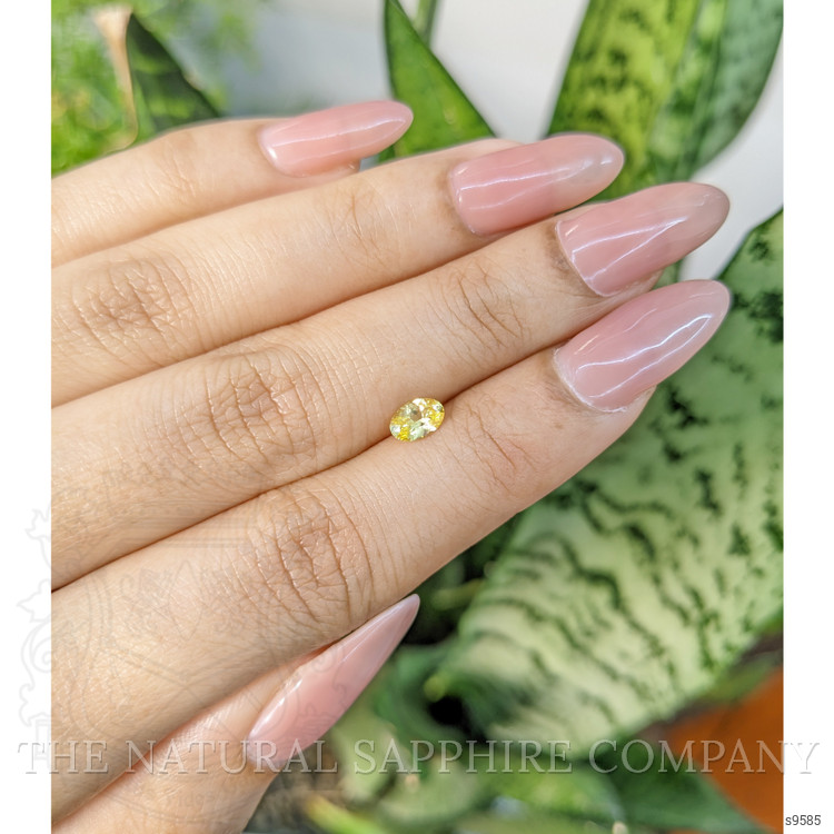 0.49 Ct. Yellow Sapphire from Ceylon (Sri Lanka)