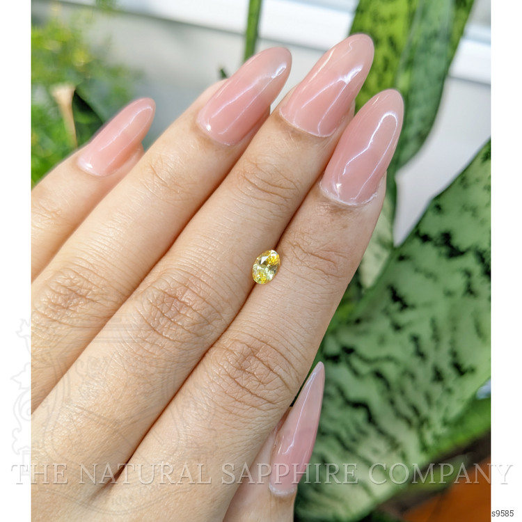 0.49 Ct. Yellow Sapphire from Ceylon (Sri Lanka)
