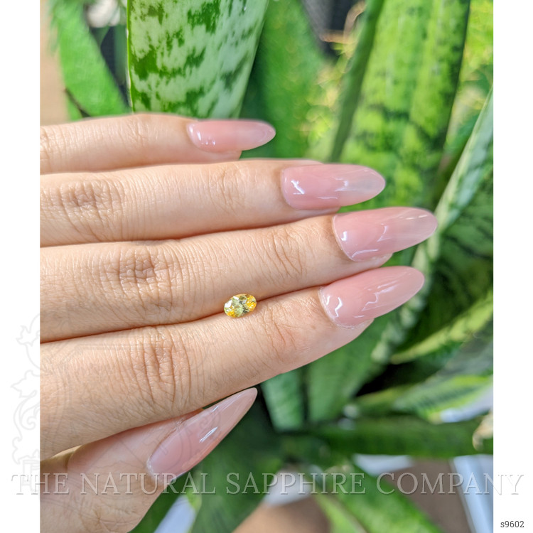 0.50 Ct. Orangish Yellow Sapphire from Ceylon (Sri Lanka)