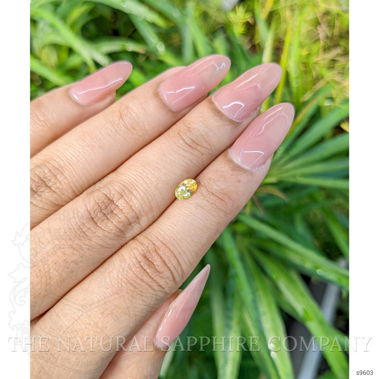 0.59 Ct. Yellow Sapphire from Ceylon (Sri Lanka)