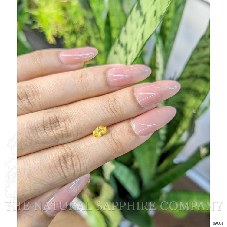 0.51 Ct. Orangish Yellow Sapphire from Ceylon (Sri Lanka)