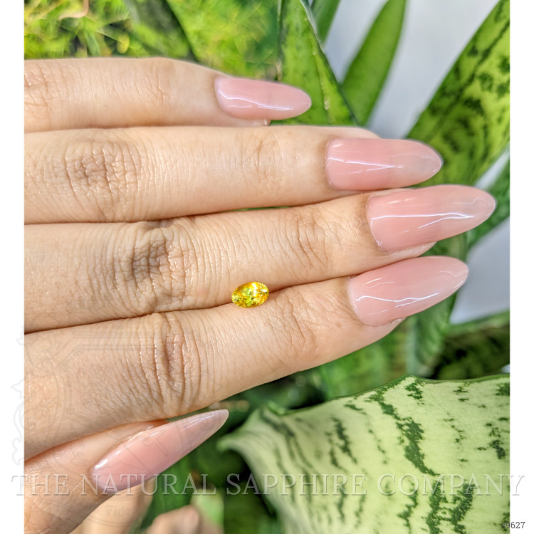 0.59 Ct. Orangish Yellow Sapphire from Ceylon (Sri Lanka)