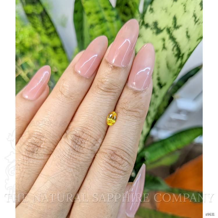 0.51 Ct. Orangish Yellow Sapphire from Ceylon (Sri Lanka)