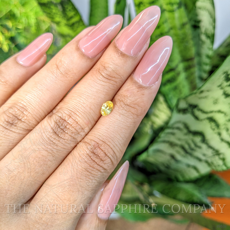 0.55 Ct. Yellow Sapphire from Ceylon (Sri Lanka)