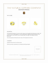 1.94 Ct. Bi Color Sapphire from Burma (Myanmar) Appraisal