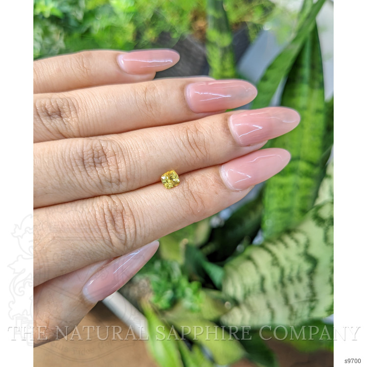 0.51 Ct. Yellow Sapphire from Ceylon (Sri Lanka)