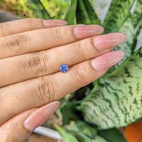 0.69 Ct. Blue Sapphire from Ceylon (Sri Lanka) Life Style