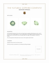 Jewelry Appraisal