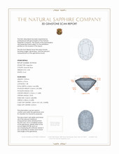 Jewelry 3 D Scan Report