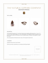 3.21 Ct. Brown Sapphire from Ceylon (Sri Lanka) Appraisal