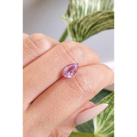 2.04 Ct. Pink Sapphire from Ceylon (Sri Lanka) Life Style