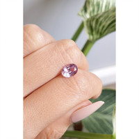 1.75 Ct. Pink Sapphire from Ceylon (Sri Lanka) Life Style