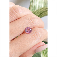 1.57 Ct. Pink Sapphire from Ceylon (Sri Lanka) Life Style