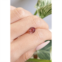 2.00 Ct. Padparadscha Sapphire from Madagascar Life Style