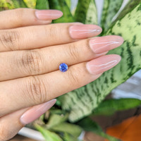 0.63 Ct. Blue Sapphire from Ceylon (Sri Lanka) Life Style