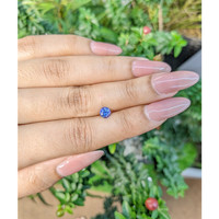 0.63 Ct. Blue Sapphire from Ceylon (Sri Lanka) Life Style