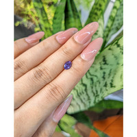0.94 Ct. Color Change Sapphire from Ceylon (Sri Lanka) Life Style