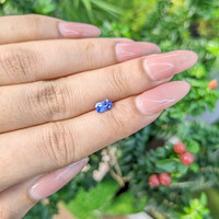 0.63 Ct. Blue Sapphire from Ceylon (Sri Lanka) Life Style