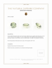 Jewelry Appraisal