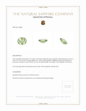 Jewelry Appraisal