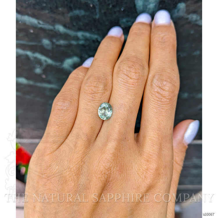 1.87 Ct. Yellowish Green Sapphire from Montana