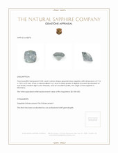 Jewelry Appraisal
