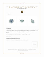 Jewelry Appraisal