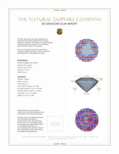 Jewelry 3 D Scan Report