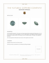 Jewelry Appraisal