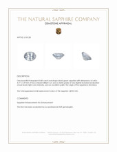 Jewelry Appraisal