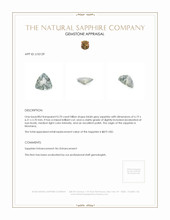 Jewelry Appraisal