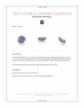 1.17 Ct. Bluish Green Sapphire from Montana Appraisal